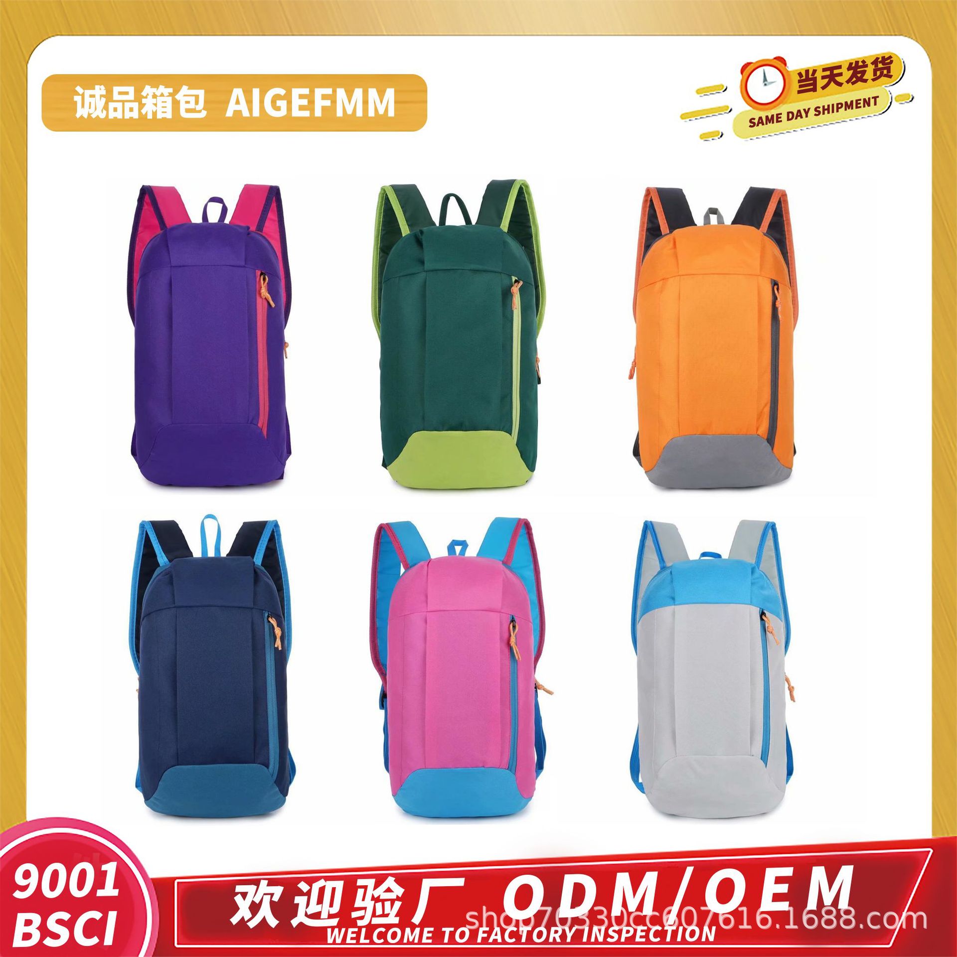 travel backpack