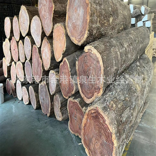 ��������֦ ��������֦ԭľ��� �����׃�� ��춌�ľ�Ҿ� ��ˇƷ