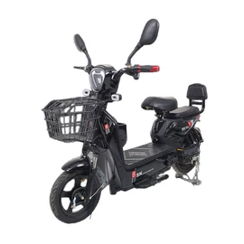 电动自行车;电动三轮车