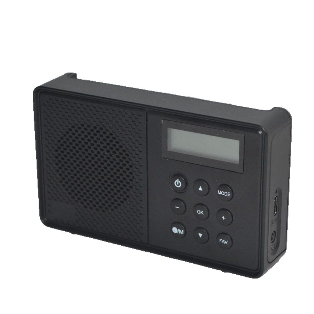 Factory Direct Sales Dab Digital Radio High Fidelity High Quality Mini Speaker Car Home Out of the Uk