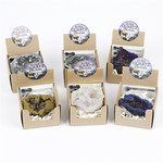 厂家货源 6色可选天然水晶洞玛瑙聚宝盆原石电镀彩色盒装跨境热卖