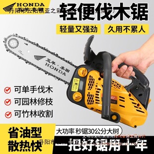 �M���������ě_�̷�ľ����䏼���С�����12��14�缃���������