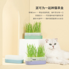Cat Snacks Cat Mint Planting Hydroponic Box Cat Grass Basin Contrast Color Hydroponic Cat Grass Box Set No Seeds