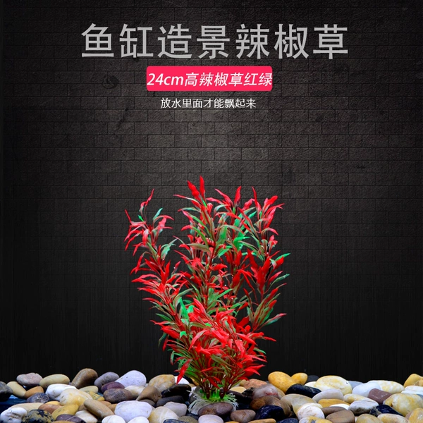 24 pepper grass red two pcs