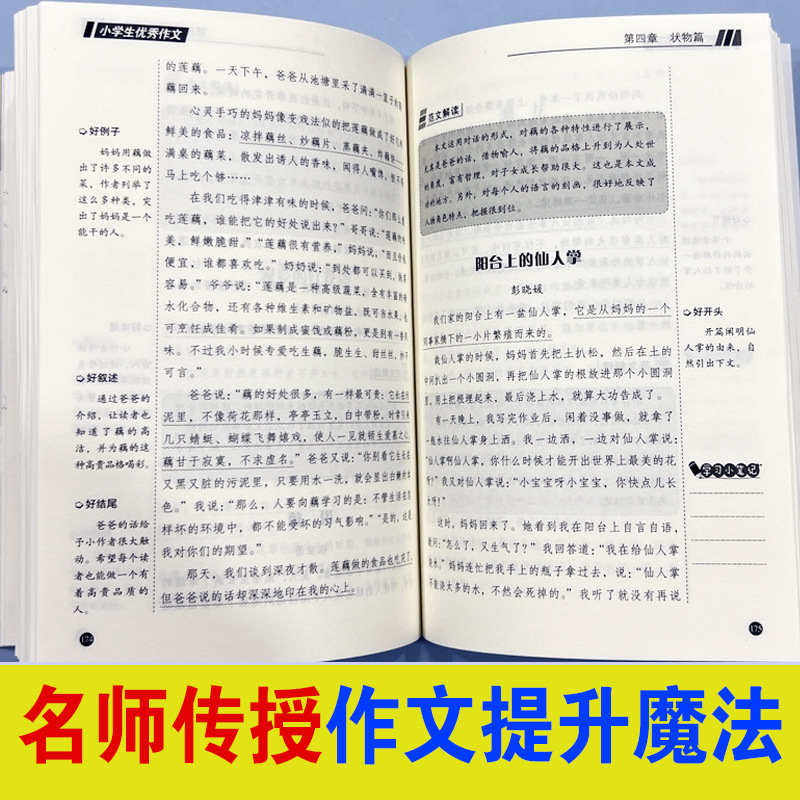 National Common 2023 Edition Primary School Students' Composition Textbook for Junior High School Students - Chinese Language High Score Composition Selections - Simple Chinese Edition