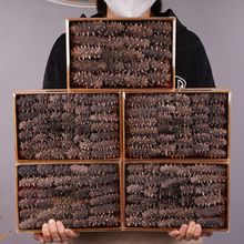 �������ؼ�������b��ˮ�ٰl���ɺ���24h�ٰl�ճ����a�ͶY�L݅