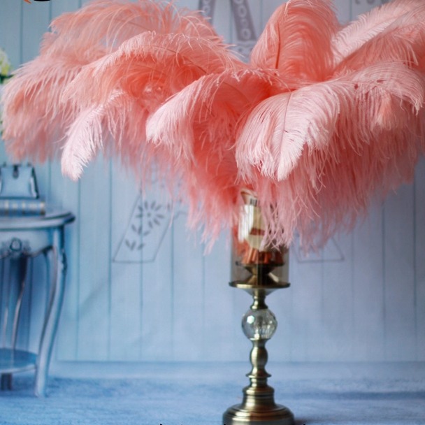 Plumas de avestruz bodas blancas de avestruz guía de plumas accesorios de fotos adornos rojo rosado en línea grandes plumas decoración