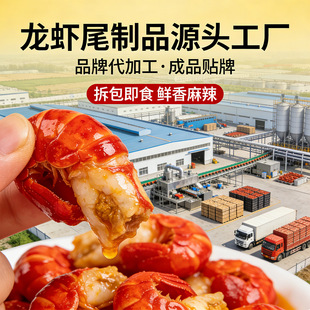 �����ʳ�������rβ OEM���� ����ˮ�a��ʳ��Ʒ�N�� Դ�^�S��ֱ��