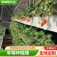 荷兰模式几字型栽培槽番茄椰糠种植槽PVC草莓无土栽培槽种植架