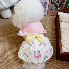 ペットの猫の犬の王女のかわいい風の秋冬の服のマルジスのヨークシャーは熊に比べます。