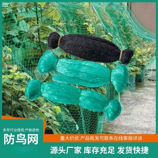 ��������ϩPE���B�W�����������������Gɫ��ɫ���@���B�þW