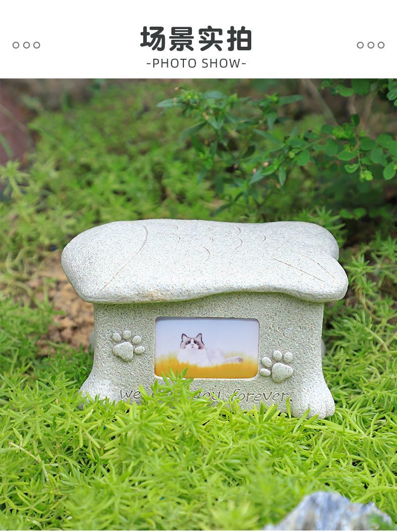 6b9ba336-2738-4352-a8ff-205636c73fd5.jpe