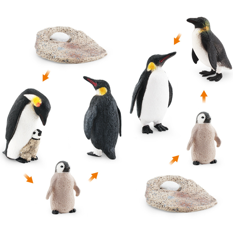 Modelo de ciclo de crecimiento de pingüino de simulación transfronteriza volver Pingüino Emperador Pingüino proceso de crecimiento adornos de escritorio estáticos