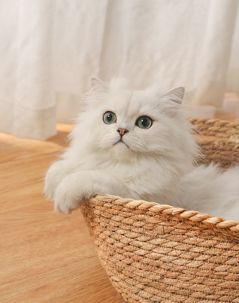 Panier chat en rotin couchage pour animaux toutes saisons_voghion.com