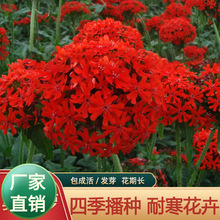 �󻨼����}�N�Ӵ������N�Ӷ������ͺ����ܾ��^�G�����@�ײ��N�ļ�
