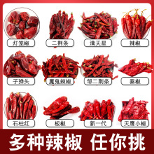 ���������ϴ�ȫ �����F���ӏ��^���\�����G�lС�׽�����Ԃ�