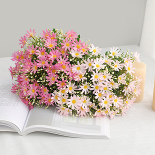 ��@С���»��������r�ռٻ� Ӱ�����յ��߷���6��12���{���r��