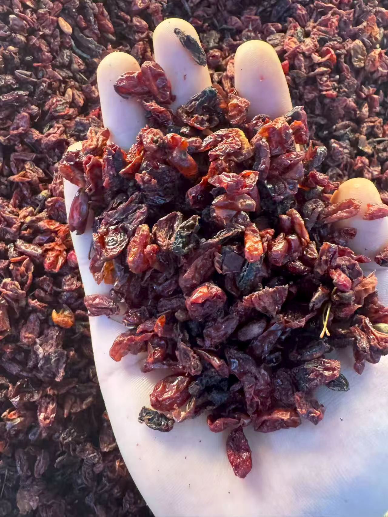 Dried Cornus Fruit Shan Zhu Yu 1000g Bag Traditional Chinese Herb for Tea and Decoction specifications