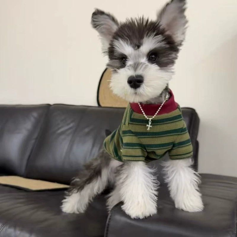 Собачья одежда весной и осенью тонкая футболка с круглым вырезом в полоску Тедди Марцис базовая кошка против выпадения волос