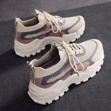 2025ϵЬŮw\Ь¿͸eЬ͸nŮЬ