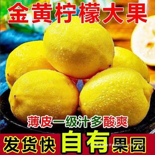 YF��5�r���ʶ�֭123���ʰ������r��Ƥ�����rˮ�������������b�S��
