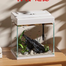 2025�¿���~����ѭ�h�^�V��������һ�w����͏dС�ͼ������B����