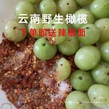 云南滇橄榄橄榄果青皮余甘油柑牛甘果新鲜特产水果孕妇酸果泡酒