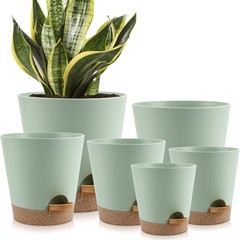 工場直販の直筒型プラスチック植木鉢、アマゾンで販売されている厚底苗床、バラの栽培に最適