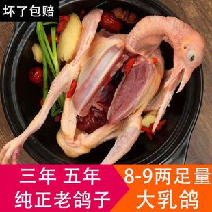 ���������r�F�������ӻ���������r��ɢ�B�����Ҝ�