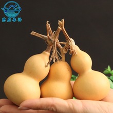 ��Ʒ����С���J������J��Ȼ���J������J�[������[��С���J���l