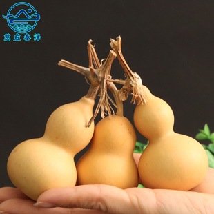 ��Ʒ����С���J������J��Ȼ���J������J�[������[��С���J���l