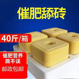 ţ����u�����}�uţ����u΢��Ԫ�ؠI�B�}�K���������ţ�Љ�����