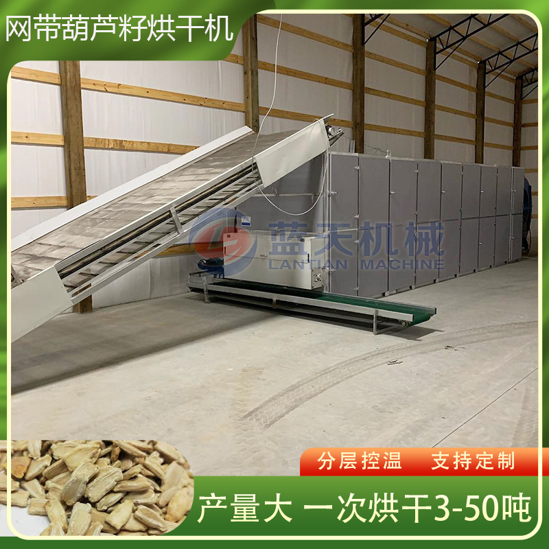 网带式葫芦籽烘干机 全自动南瓜籽打瓜子干燥机 西葫芦子烘干设备