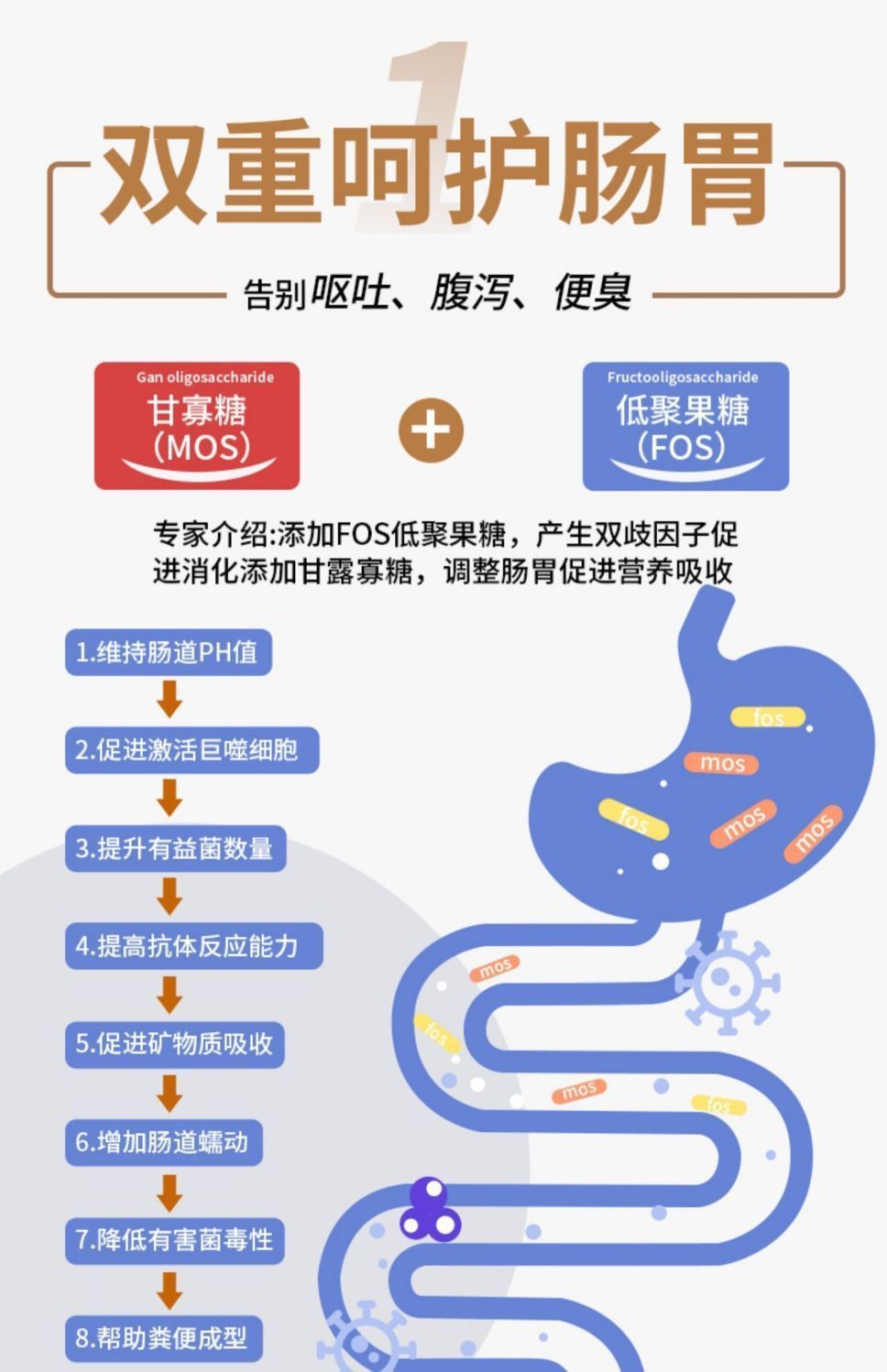 6aa997c2-a012-486c-842b-7046e7a35b6e.jpe