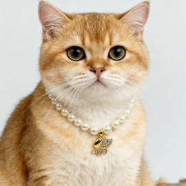 宠物珍珠项链猫猫项圈狗狗颈圈跨境水钻脖圈水钻吊坠颈圈饰品批发