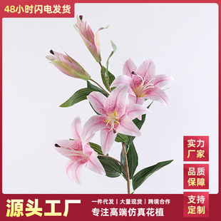 ���滨�ϻ��m�ٺϻ���Ʒ�|�zƬ��ˮ�ٺϼҾ��b�����c�����ٻ�