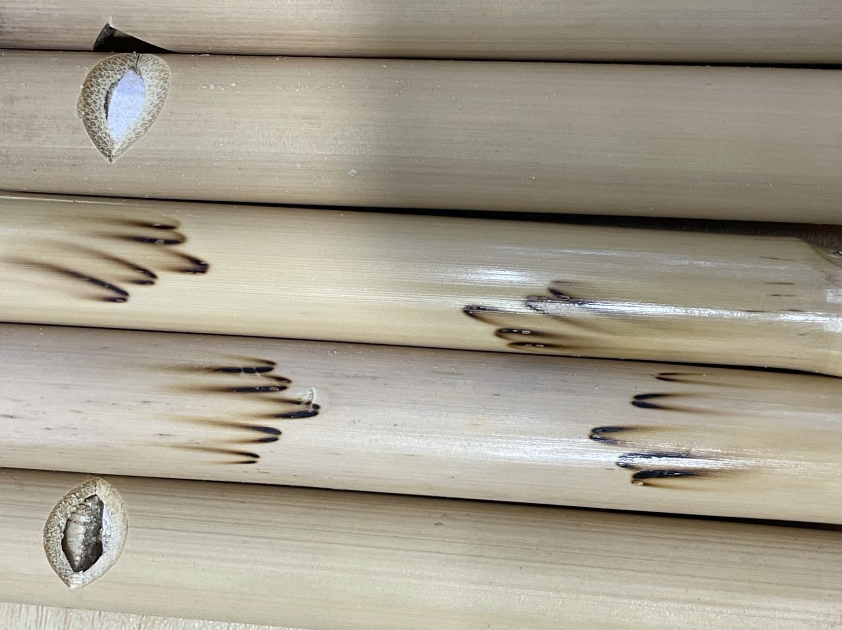 微信图片_20211015161409