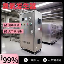 大型臭氧发生器100G氧气源泳池工业空间养殖桶装水水箱杀菌消毒器