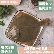 鲜活海鲜批发须鲜活海捕多宝鱼新鲜大号冷冻比目鱼鲽鱼商用多宝鱼