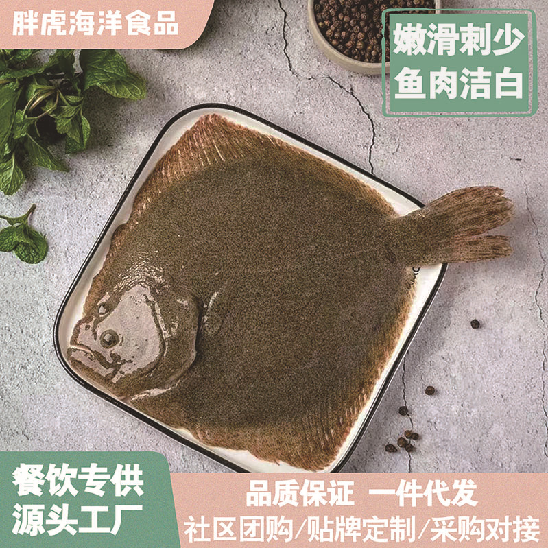 鲜活海鲜批发须鲜活海捕多宝鱼新鲜大号冷冻比目鱼鲽鱼商用多宝鱼