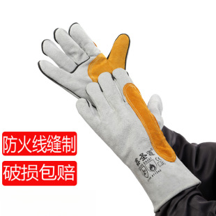 ţƤ늺��͸ߜغ���������ĥ��ܛ���C�L�̺��Ӹ�����o����