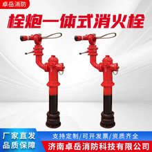 厂家生产栓炮一体式消火栓直流喷雾水炮防冻防撞栓泡沫消防栓