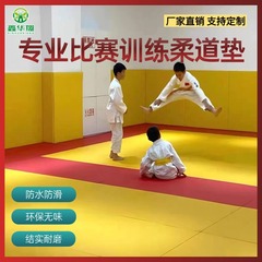 柔道マット散打地マット競技専用トレーニング畳柔術道館格闘テコンドーレスリングマット
