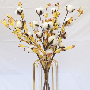 �F؛�羳�¿�ɻ��޻� ľ�޻�֦�ɻ������� �ɻ��޻�DIY�����b�