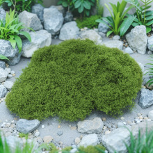 ����̦�\��Ƥ����̦΢���^��ɽ���Ô[����ƺ�@ˇ�辰���G���쾰