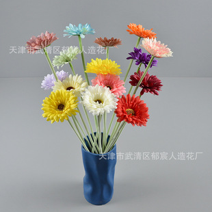 ���滨�ջ�ֲ�q���޾Ն�֦���ɾռٻ��廨�@ˇ�ҾӔ[�O����������