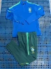 2627 Brazilian blue color
