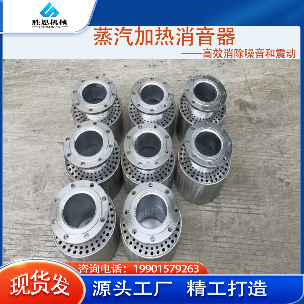 Глушитель парового отопления DN32, глушитель струйного отопления резервуара для горячей воды и модель для прямой поставки с завода для удаления ударов DN50