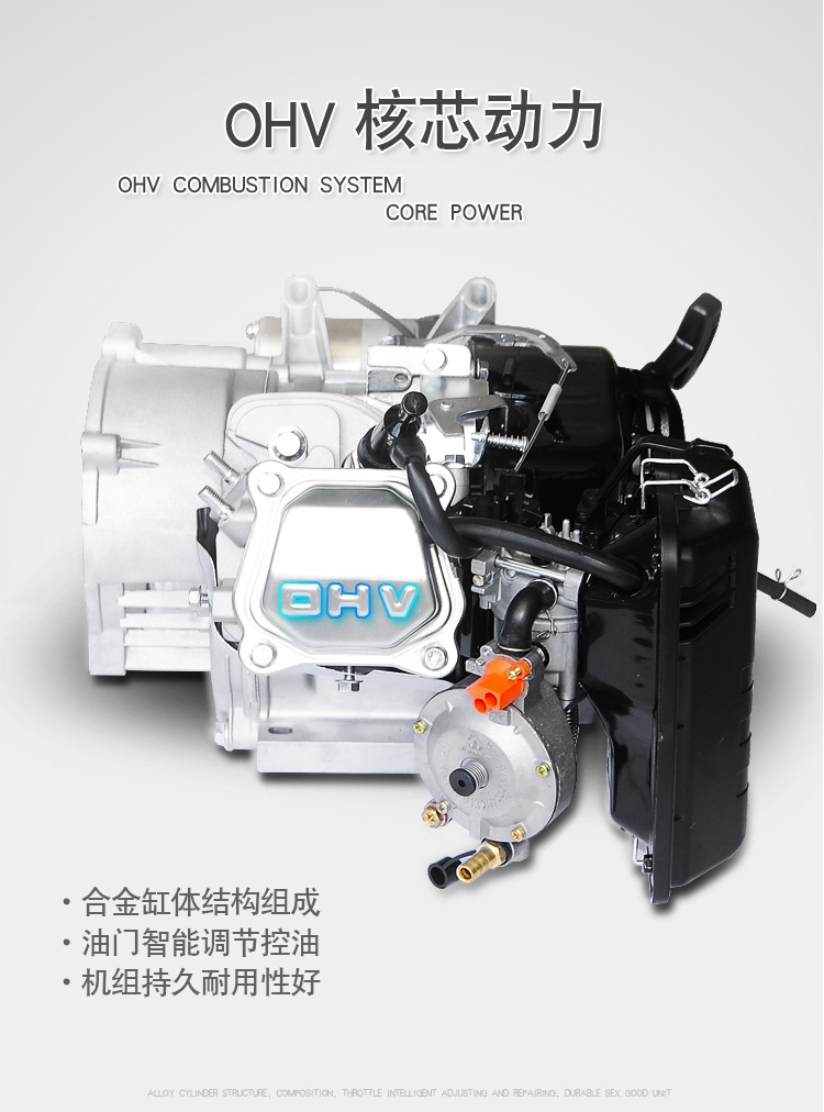 Shoujia Gasoline Generator Household 220V Single Phase 3Kw/5Kw/6Kw/8Kw/10Kw 12Kw Three Phase 380V