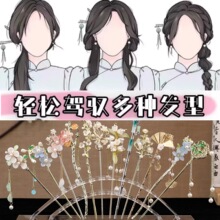 ��ʽ�l��Ů2026���Ŀ���L���K���u�Ͻ��������۰l羳���l���Q